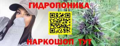 mdpv Шелехов