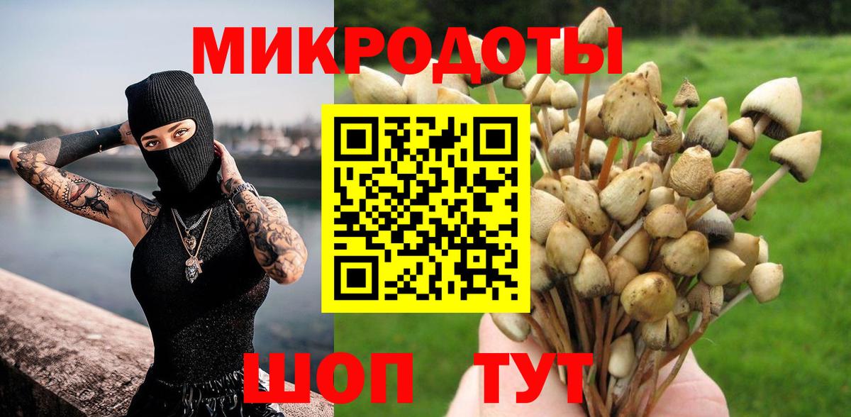 Галлюциногенные грибы Cubensis  Вход с VPN  купить закладку  Псилоцибиновые грибы прущие грибы  Орехово-Зуево 